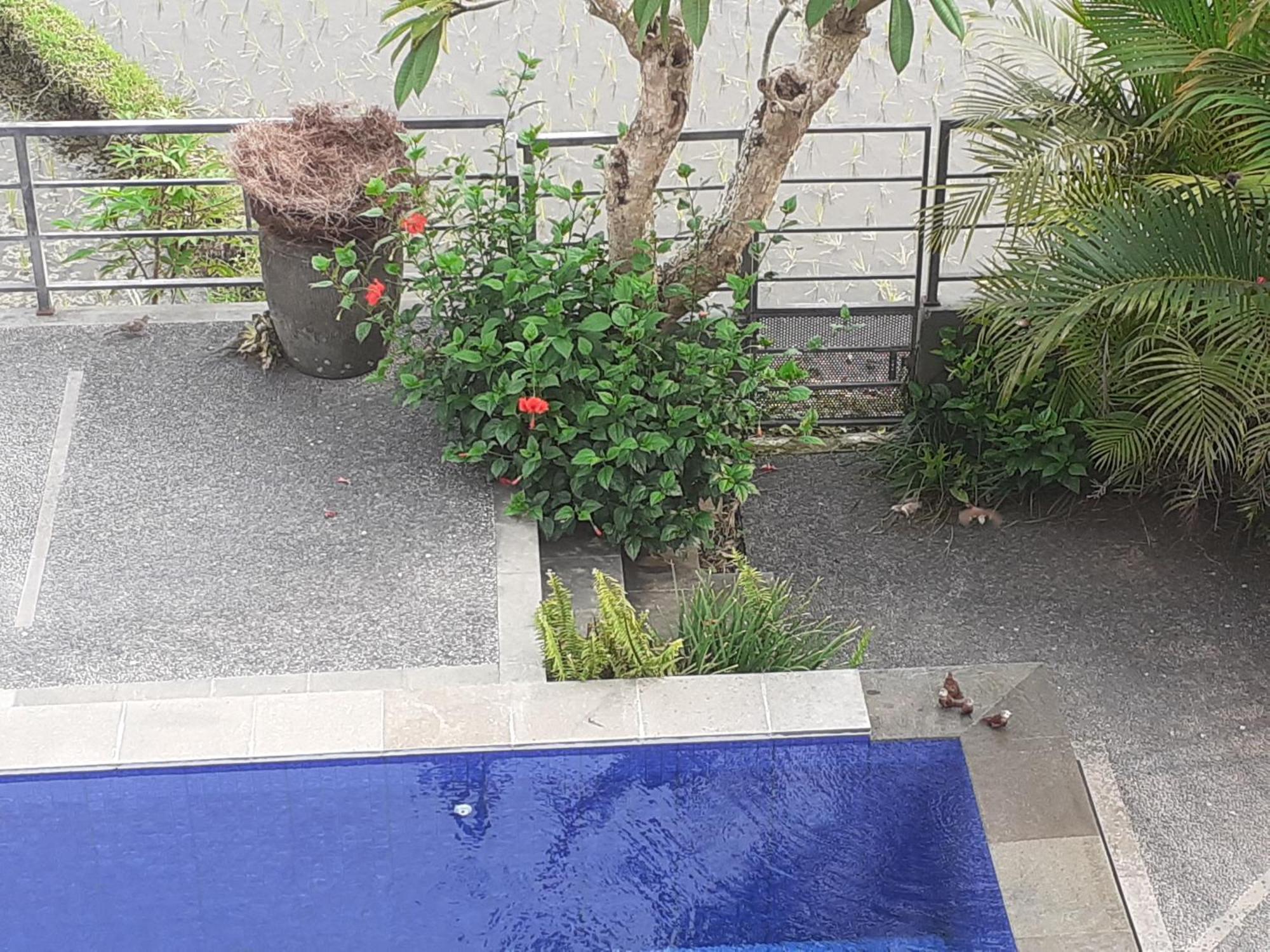Apartmán Griya Bun Sari Sukawati Exteriér fotografie
